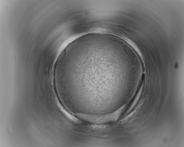 X0000092001437200709131506