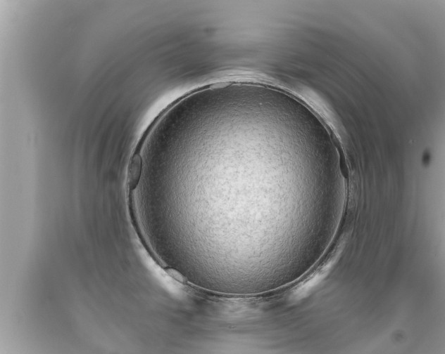 X0000092001438200709131506