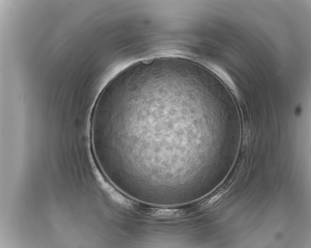 X0000092001439200709131506