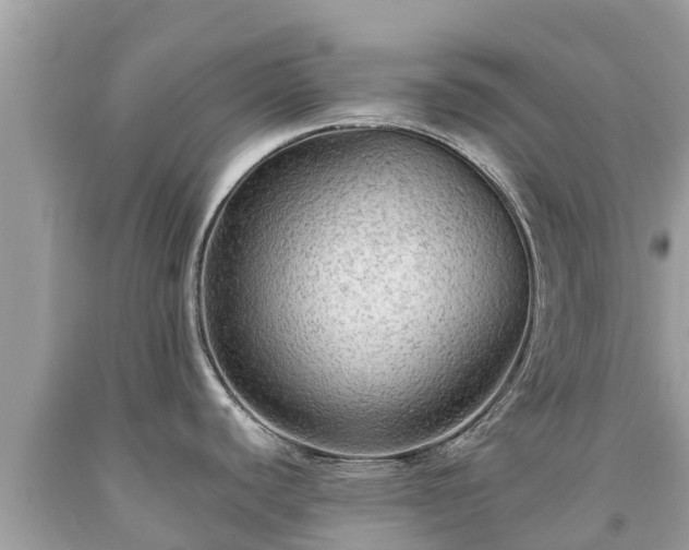 X0000092001440200709131506