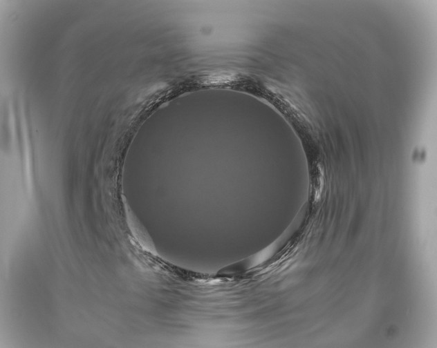 X0000092001441200709131505