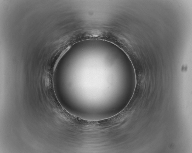 X0000092001442200709131505