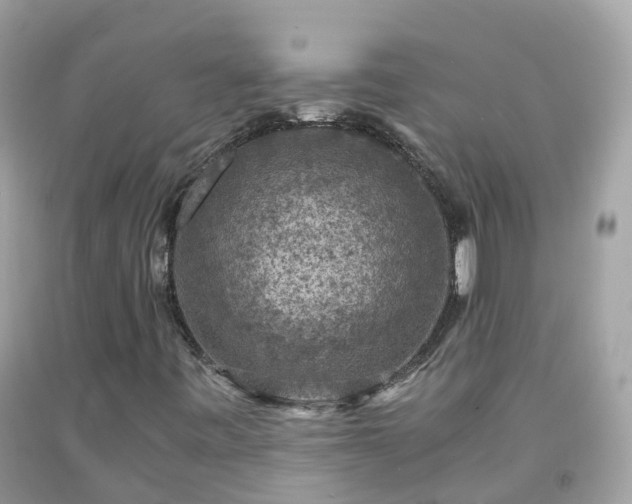 X0000092001443200709131505