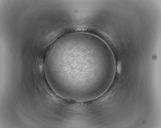 X0000092001444200709131505