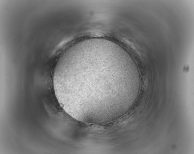 X0000092001446200709131505