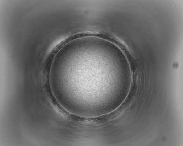 X0000092001448200709131505