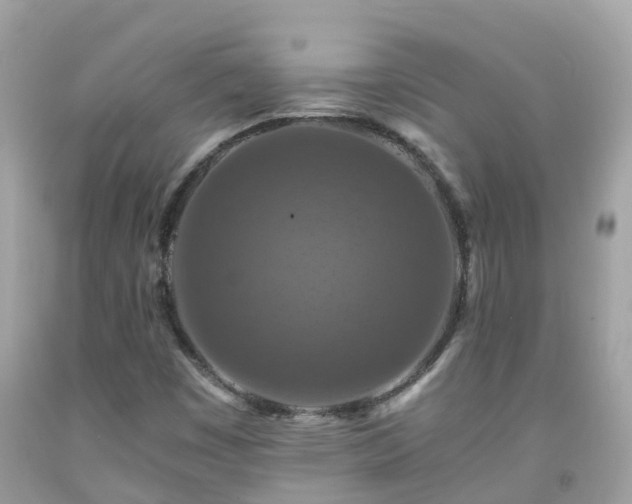 X0000092001449200709131505