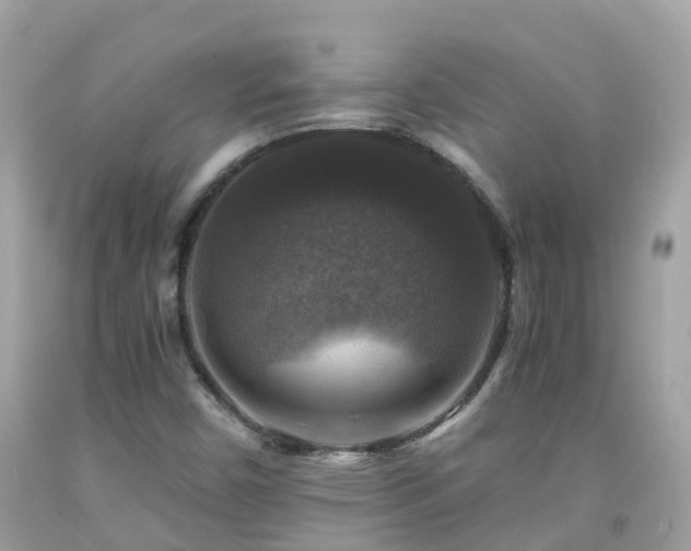 X0000092001450200709131505