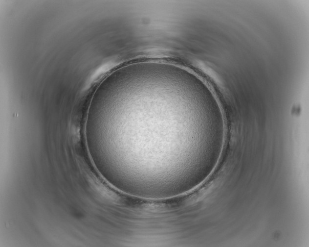 X0000092001451200709131505