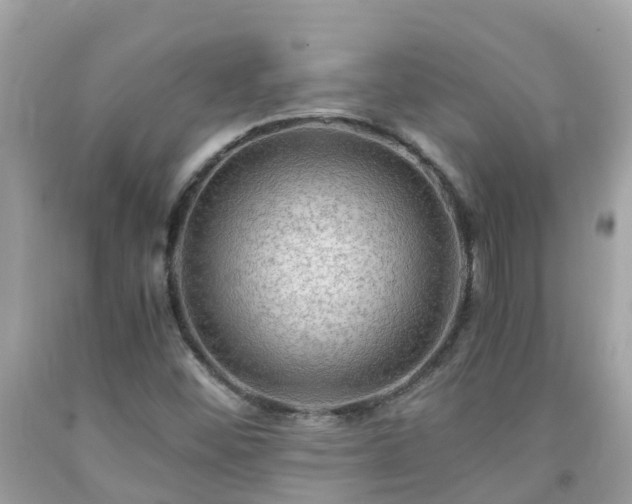 X0000092001452200709131505