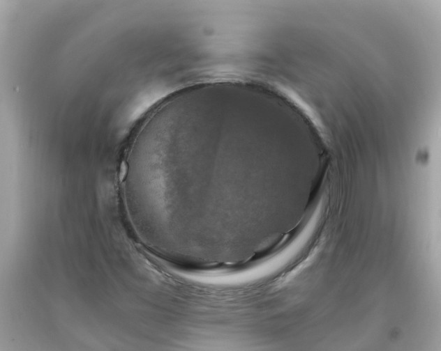 X0000092001453200709131505