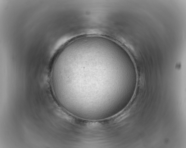 X0000092001454200709131505