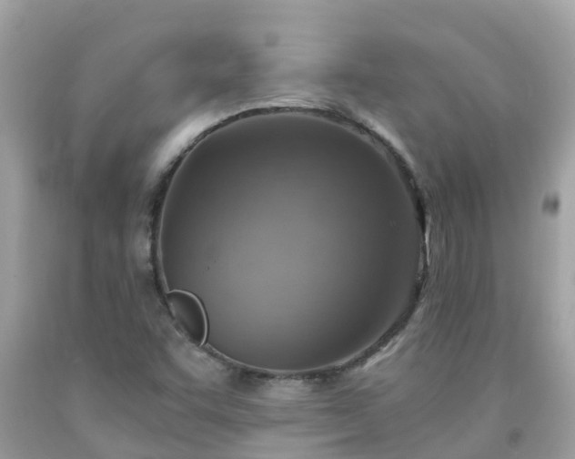 X0000092001455200709131505