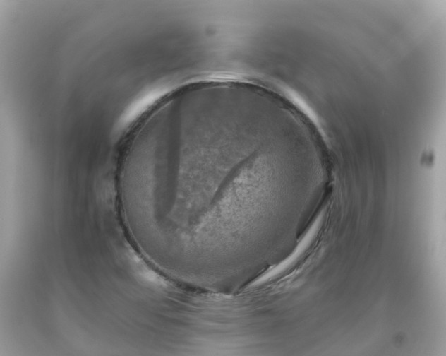 X0000092001456200709131505