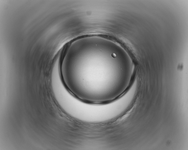 X0000092001457200709131505