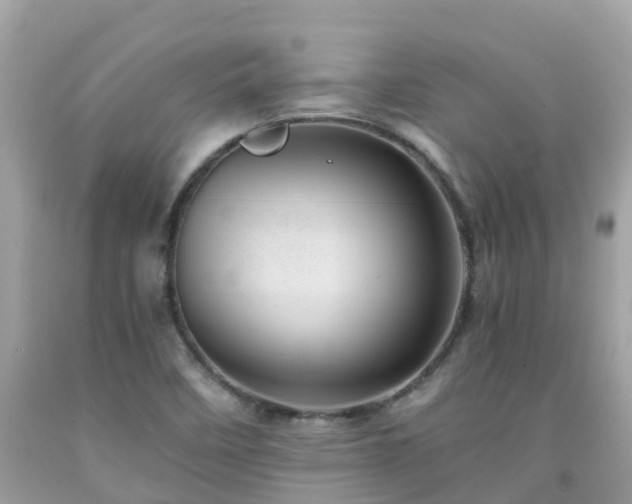 X0000092001458200709131505