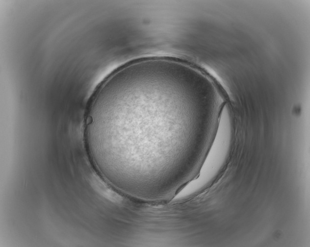 X0000092001460200709131505