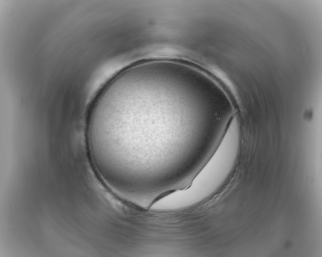 X0000092001464200709131505