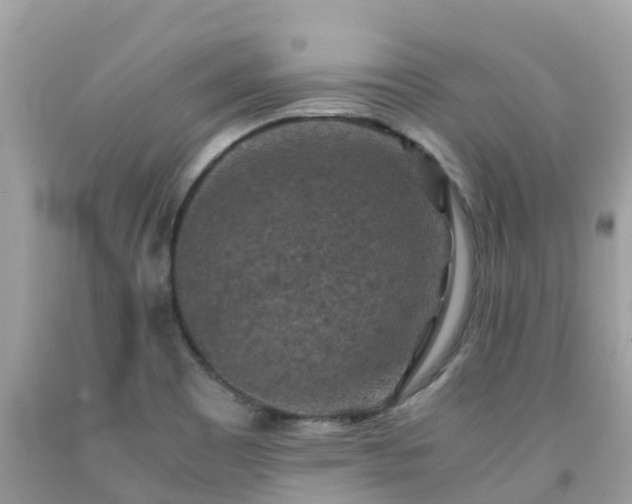 X0000092001465200709131505