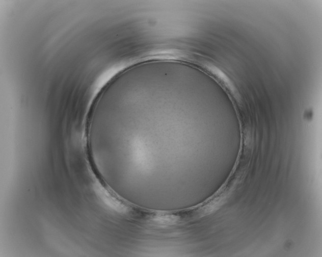 X0000092001466200709131505