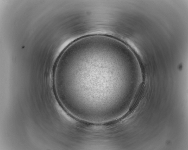 X0000092001468200709131505