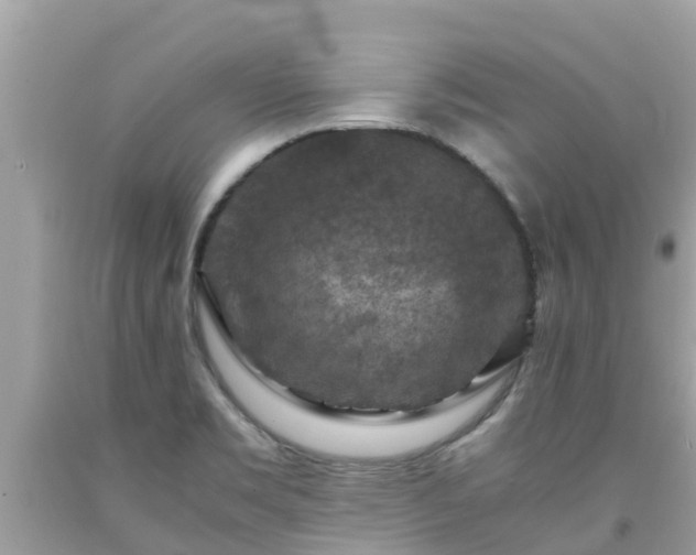 X0000092001469200709131505