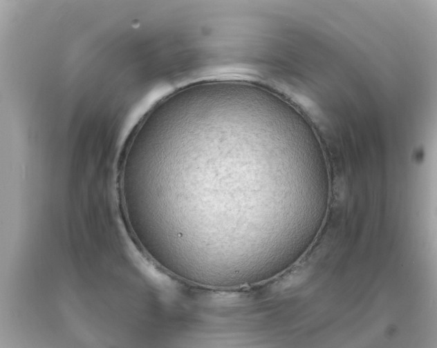 X0000092001470200709131505