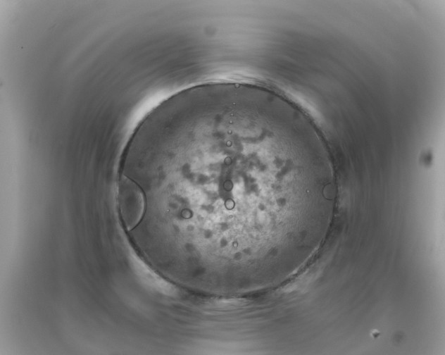 X0000092001471200709131505