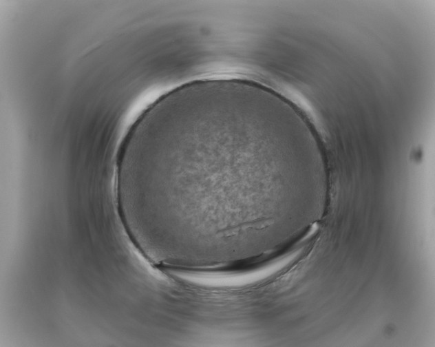 X0000092001472200709131505