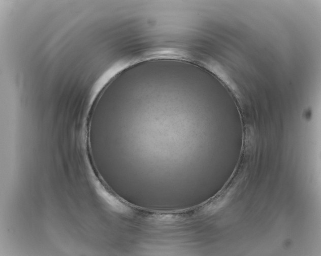 X0000092001474200709131505