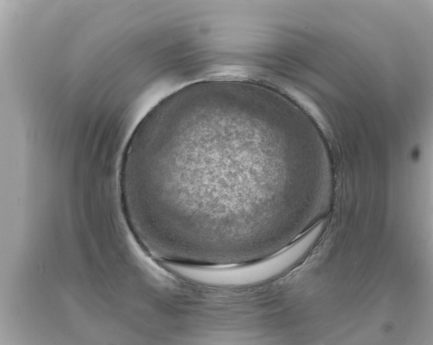 X0000092001475200709131505