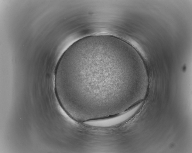 X0000092001476200709131505