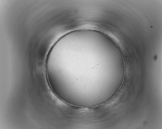 X0000092001478200709131505