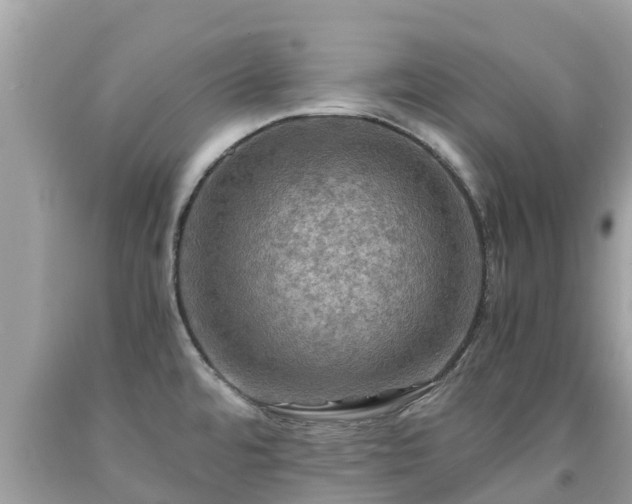 X0000092001480200709131504