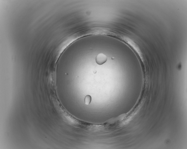 X0000092001481200709131504