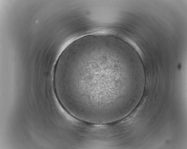 X0000092001483200709131504