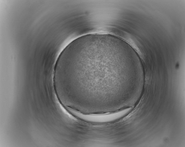 X0000092001484200709131504