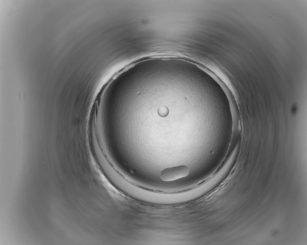 X0000092001485200709131504