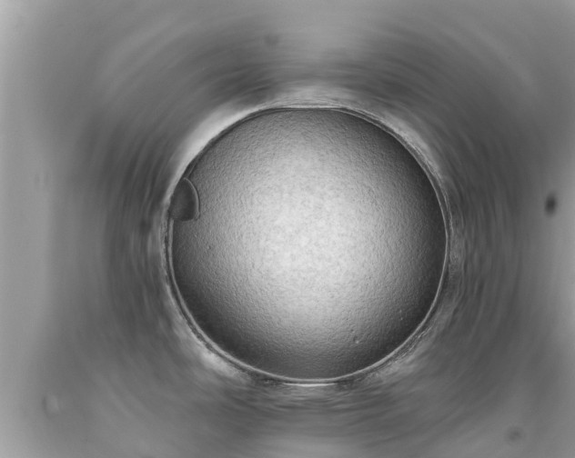 X0000092001486200709131504