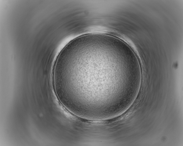 X0000092001488200709131504