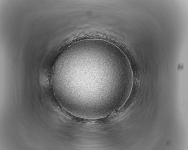 X0000092001490200709131504