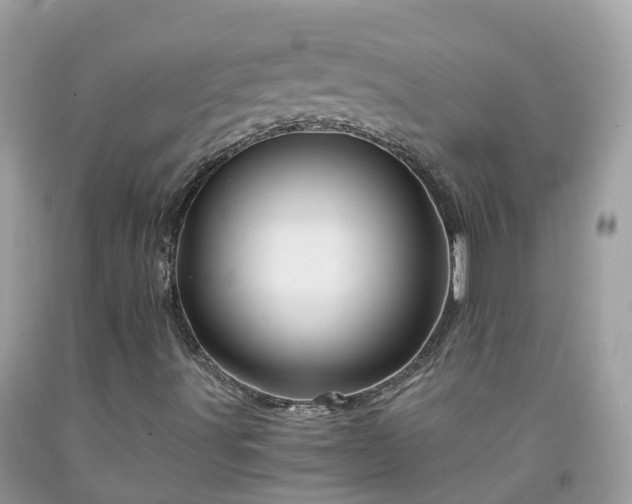 X0000092001491200709131504