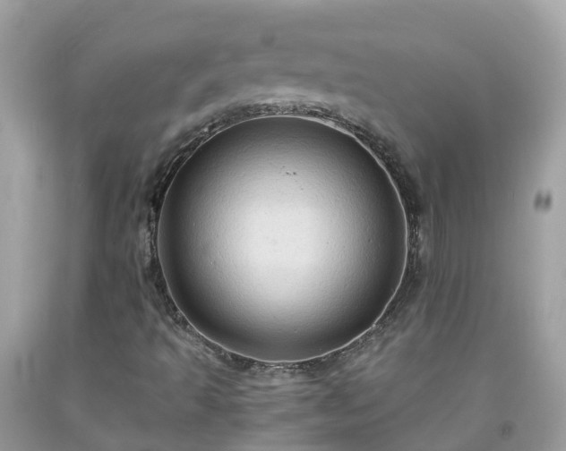 X0000092001493200709131504