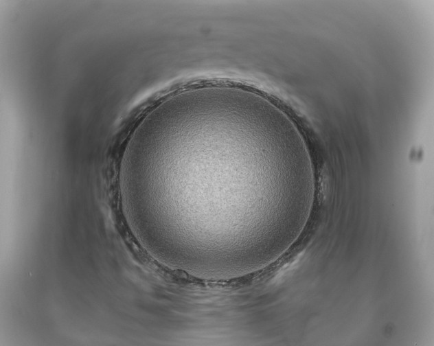 X0000092001494200709131504