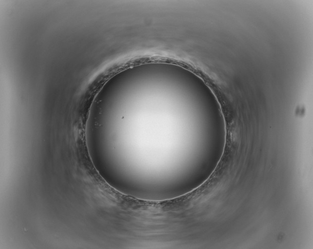 X0000092001495200709131504