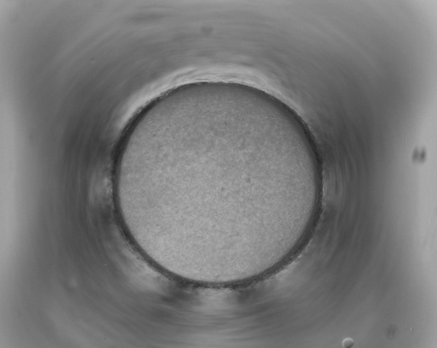 X0000092001498200709131504