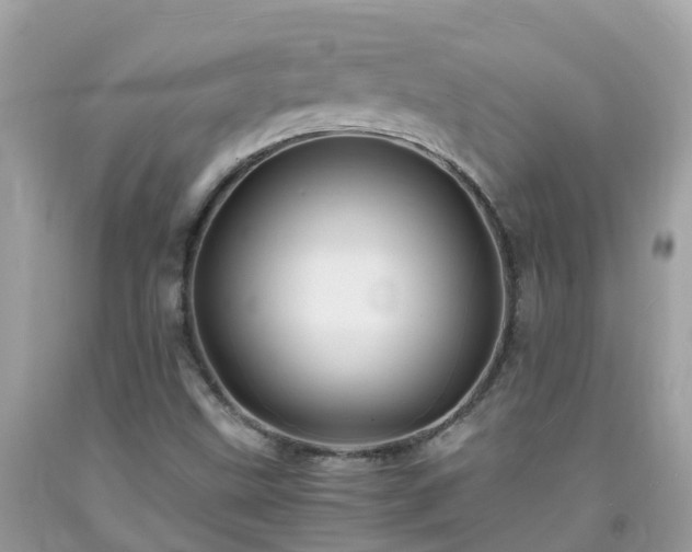 X0000092001499200709131504