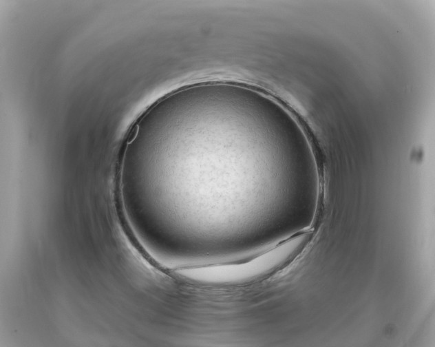 X0000092001500200709131504