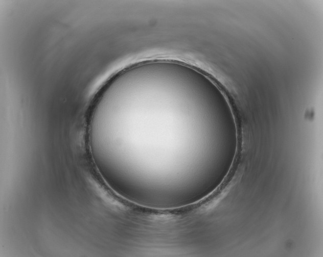 X0000092001502200709131504