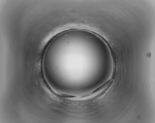 X0000092001503200709131504